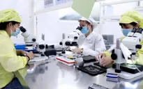 Việt Nam thu hút các tập đoàn công nghệ lớn