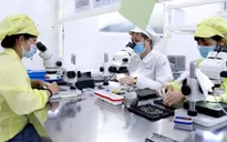 Bộ Tài chính: Tài chính của khối doanh nghiệp FDI vẫn có sự tăng trưởng