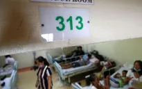 Philippines ghi nhận 319 ca tử vong do sốt xuất huyết