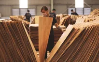 Cảnh báo sản phẩm bị áp biện pháp phòng vệ thương mại
