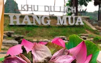 'Thánh địa checkin' Hang Múa có gì mà hút du khách dịp lễ 2/9?