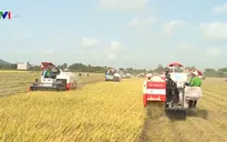 Xây dựng thế hệ nông dân mới của thời chuyển đổi số