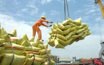 Xuất khẩu gạo vượt 6 triệu tấn
