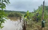 Bình Phước: Điều tra vụ thi thể đang phân hủy nổi trên mặt nước