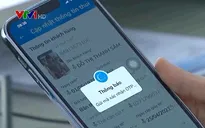 Đình chỉ hoạt động phát triển thuê bao mới đối với nhà mạng vi phạm