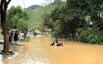 Yên Bái: Mưa lớn gây ngập úng cục bộ trên Quốc lộ 37