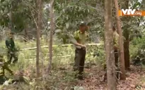 Thiếu nhân lực để giữ rừng tại Lâm Đồng