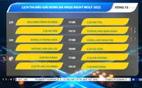 Lịch thi đấu và trực tiếp vòng 15 V.League 2022: Tâm điểm CLB Hà Nội vs Topenland Bình Định