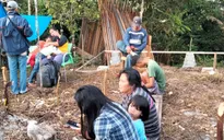 Hàng trăm người sơ tán ở miền Tây Indonesia sau trận động đất mạnh 6,1 độ