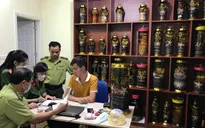 Hà Nội: Phát hiện kho rượu ngâm động vật không rõ nguồn gốc