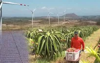Bình Thuận khơi dậy tiềm năng khác biệt