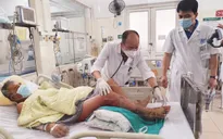 Hoại tử chân, nhiễm khuẩn huyết do nhiễm vi khuẩn Vibrio vulnificus