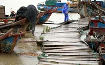 Trung Quốc nâng mức cảnh báo đối với bão Muifa