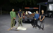 Bắt nhóm đối tượng trộm cắp cáp điện trên cao tốc Vân Đồn - Móng Cái