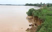 Phú Yên: Bờ sông Ba sạt lở, người dân mất đất sản xuất, nguy cơ mất luôn nhà