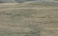 Armenia thông báo thỏa thuận ngừng bắn sau cuộc đụng độ mới với Azerbaijan