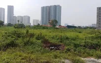 Hà Nội chấm dứt, dừng thực hiện đối với 6 dự án đầu tư