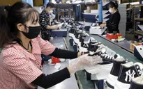 Đảm bảo nguyên phụ liệu cho sản xuất công nghiệp