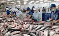 Hoa Kỳ giữ nguyên mức thuế chống bán phá giá cá tra, basa từ Việt Nam
