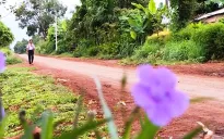 Cặp lá yêu thương: Con ước mơ thay mẹ