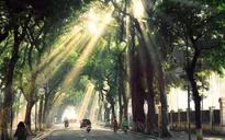 Bắc Bộ nắng cả ngày, Trung Bộ giảm mưa