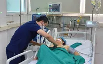TP Hồ Chí Minh: 21 ca tử vong do sốt xuất huyết
