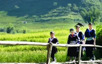 Gian nan hành trình tìm chữ của các em nhỏ vùng cao