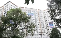 TP Hồ Chí Minh sẽ xây 30.500 căn nhà ở xã hội