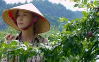 Chồng cũ, vợ cũ, người yêu cũ - Tập 36: Định ly hôn thì Giang có con với Việt?