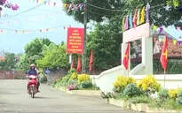 Không khí ngày Tết Độc lập ở các làng quê