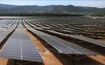 EVN kiến nghị cho phép các dự án điện gió, điện mặt trời chuyển tiếp tham gia thị trường điện