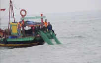 Còn nhiều thách thức trong khắc phục "thẻ vàng" thủy sản