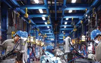ADB giữ nguyên dự báo tăng trưởng kinh tế Việt Nam