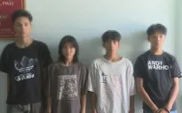 Bình Định bắt băng nhóm trộm cắp tài sản