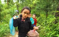 Nghẹn lòng với những bữa ăn 'góp' của học trò vùng cao