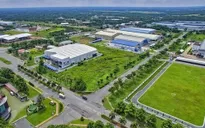 Giảm 30% tiền thuê đất, thuê mặt nước cho đối tượng bị ảnh hưởng bởi dịch COVID-19