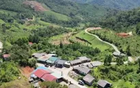 Sống nghèo trên đất vàng