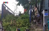 Miền Trung ứng phó bão Noru