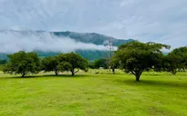Ngắm nhìn bối cảnh thanh bình trong Mẹ Rơm