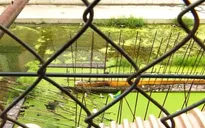 Cuộc sống lay lắt bên những dự án metro chậm tiến độ