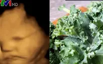 Thai nhi có thể 'nếm' thức ăn từ trong bụng mẹ