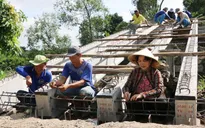 Những cụ bà ngoài 60 vẫn miệt mài xây cầu, làm đường từ thiện