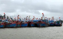 Quảng Ngãi chuẩn bị ứng phó với bão Noru