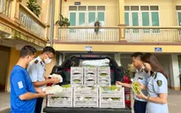 Tiêu hủy 2 tấn trái cây không rõ nguồn gốc, xuất xứ