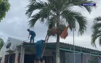 Người dân vùng xung yếu chủ động nơi trú bão