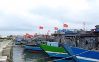 Bão số 4 có thể đánh đắm tất cả các tàu thuyền, kể cả tàu trọng tải lớn