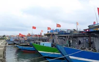 Bão số 7: Đảm bảo an toàn tàu thuyền trên biển