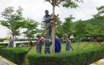 Bộ Tư lệnh Vùng Cảnh sát biển 3 hỗ trợ người dân phòng chống bão số 4