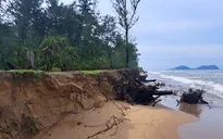 Hà Tĩnh: Hàng trăm km bờ biển bị sạt lở nghiêm trọng