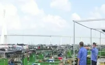 Trung Quốc khẩn trương ứng phó siêu bão Noru